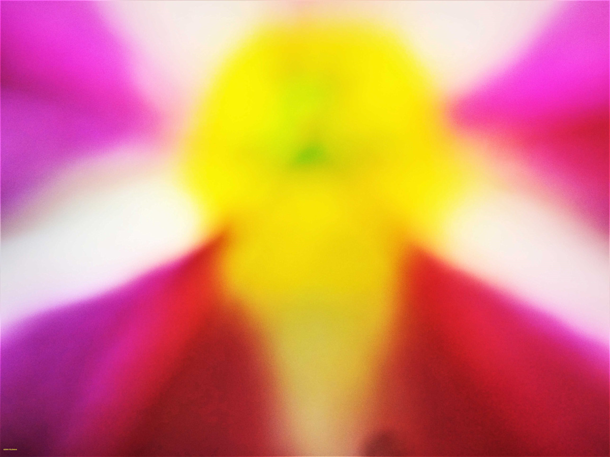 Venus Goddess of Beauty by GERRY FELDMAN, Image 1.