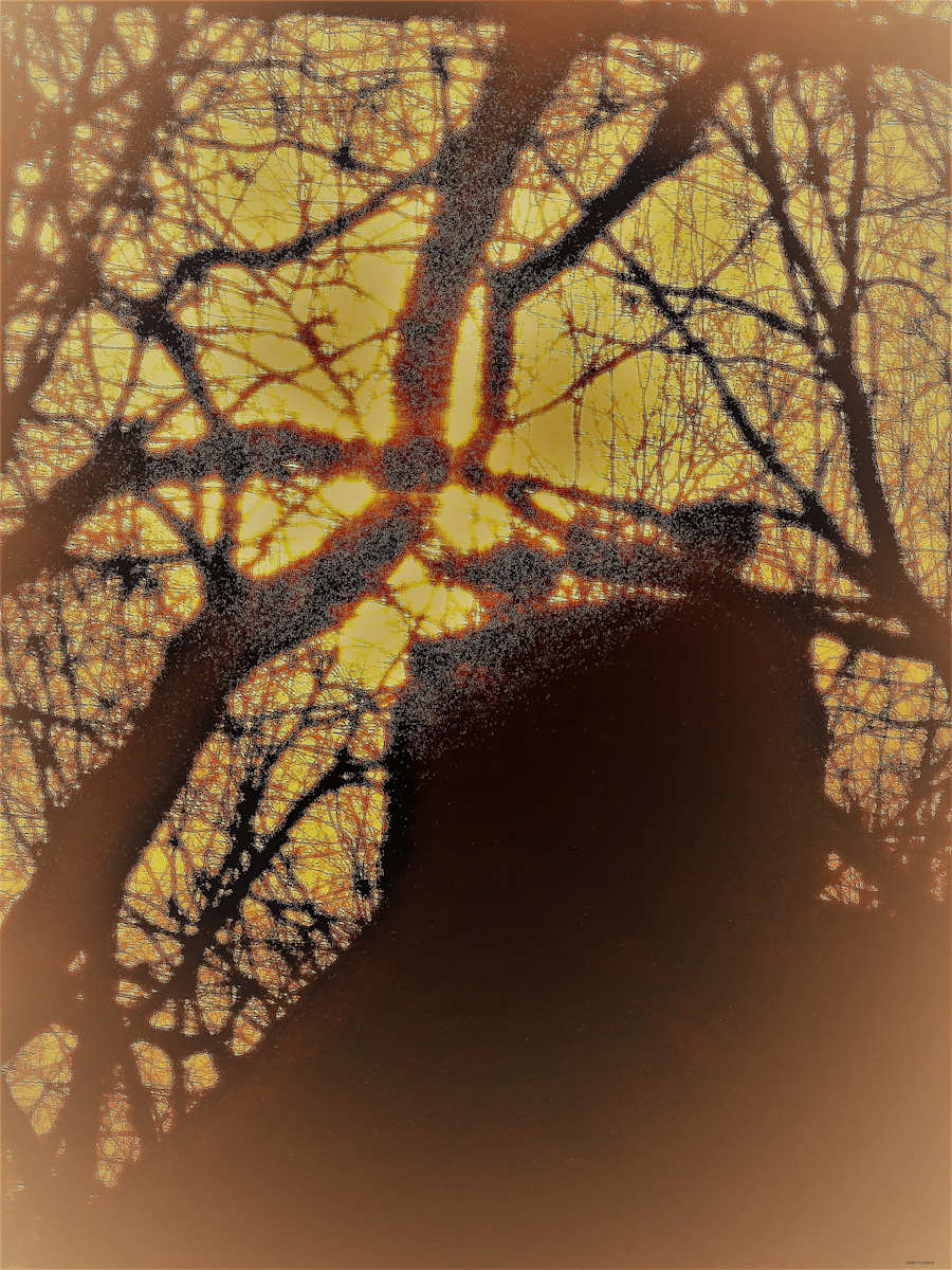 Web of Life by GERRY FELDMAN, Image 1.