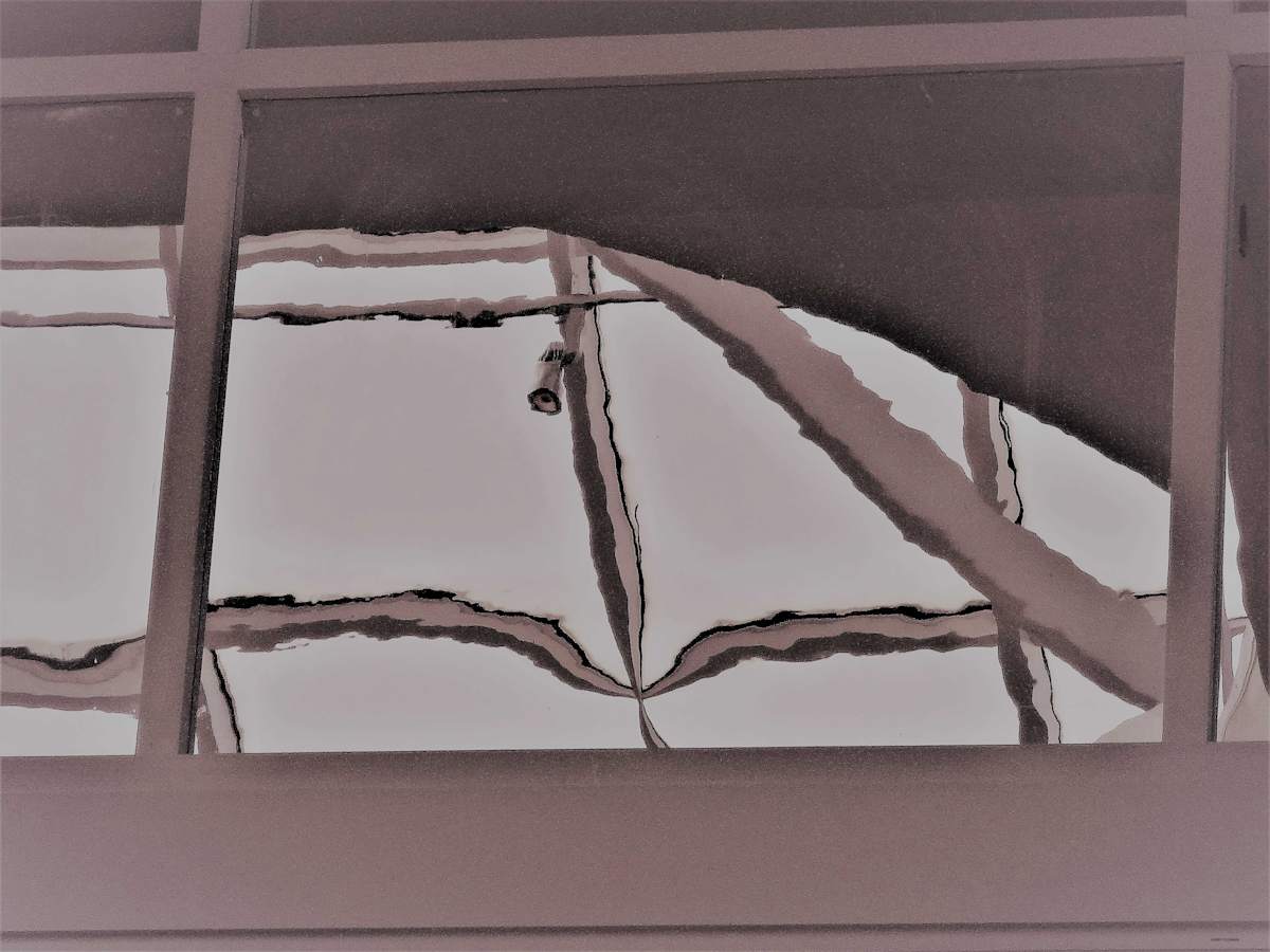 Well I Never by GERRY FELDMAN, Image 1.