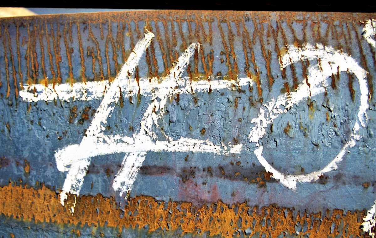 What the by GERRY FELDMAN, Image 1.