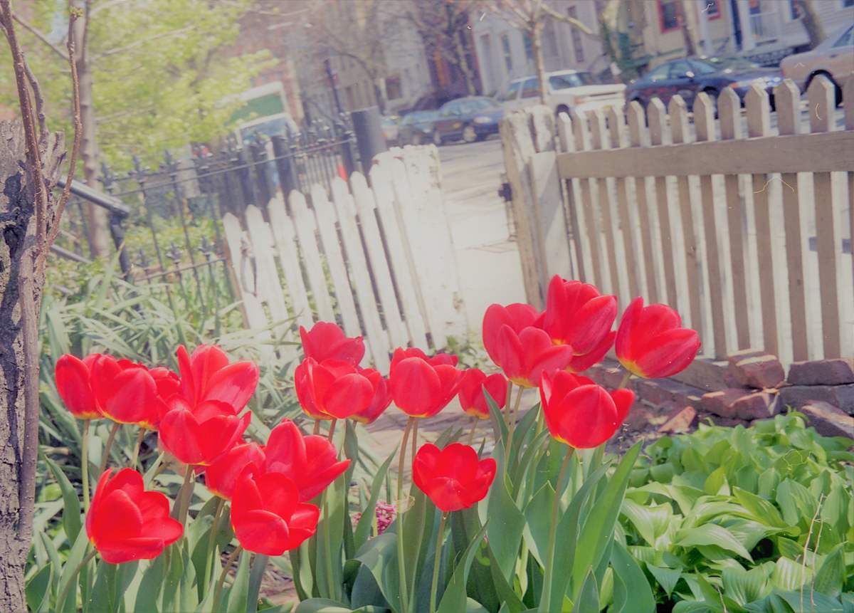 Where There is Love by GERRY FELDMAN, Image 1.