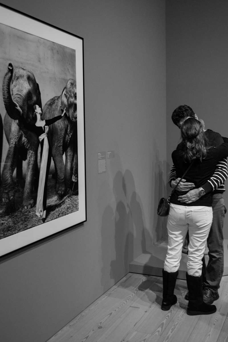 Appreciation by Neil Berkowitz, Image 1.