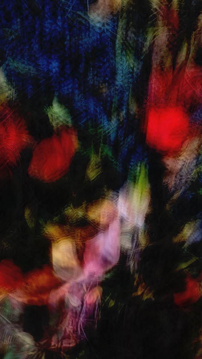 Arboretum Overgrowth #33: Nocturne by Neil Berkowitz, Image 1.