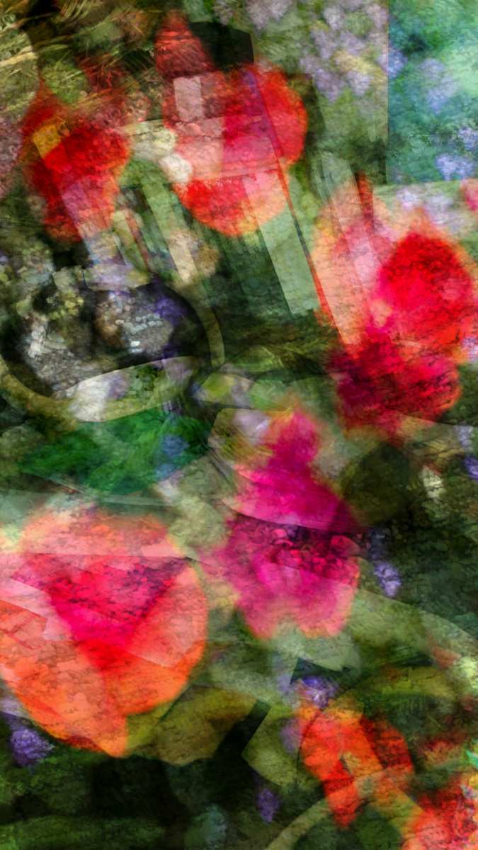 Flowers on My Desk by Neil Berkowitz, Image 1.