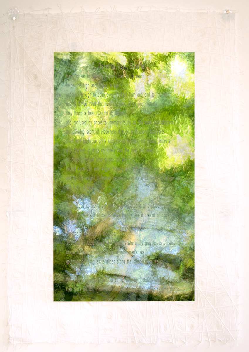 Live Streaming by Neil Berkowitz, Image 1.