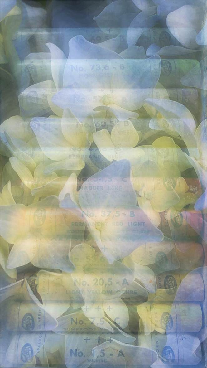 Truthtelling by Neil Berkowitz, Image 1.