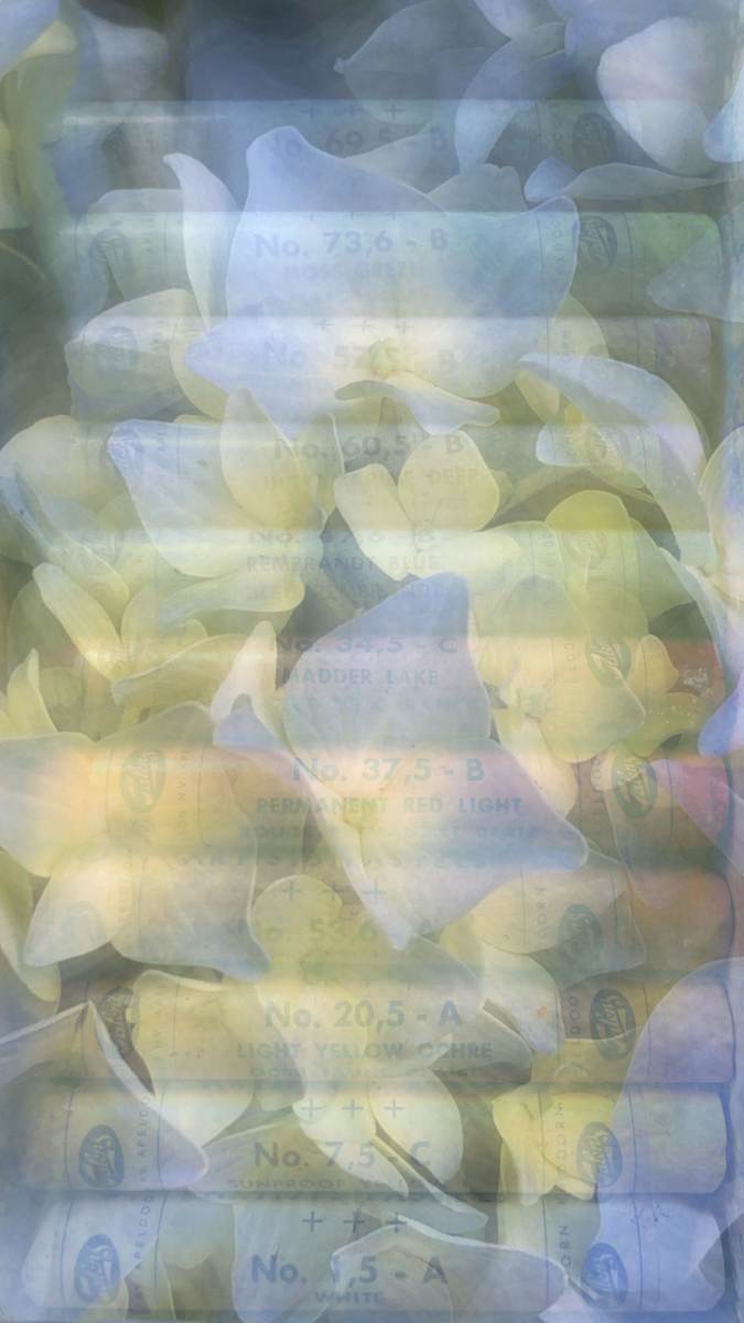 Truthtelling by Neil Berkowitz, Image 1.