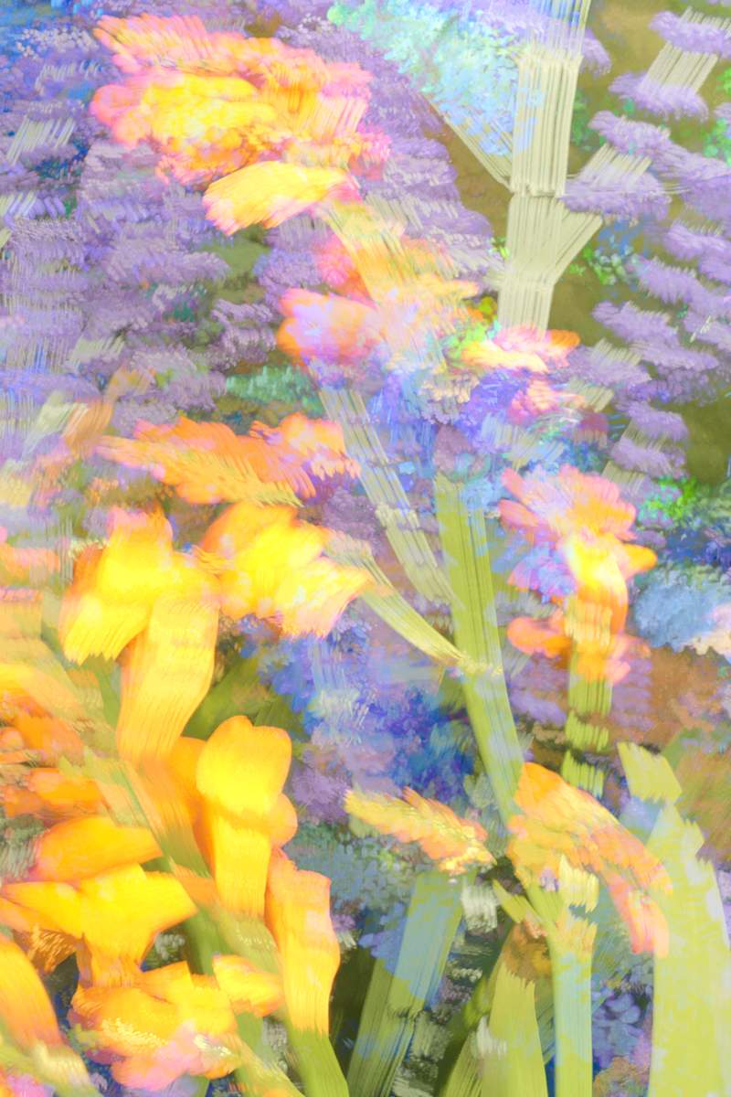 Ravenna Overgrowth #14: Yardwork by Neil Berkowitz, Image 1.