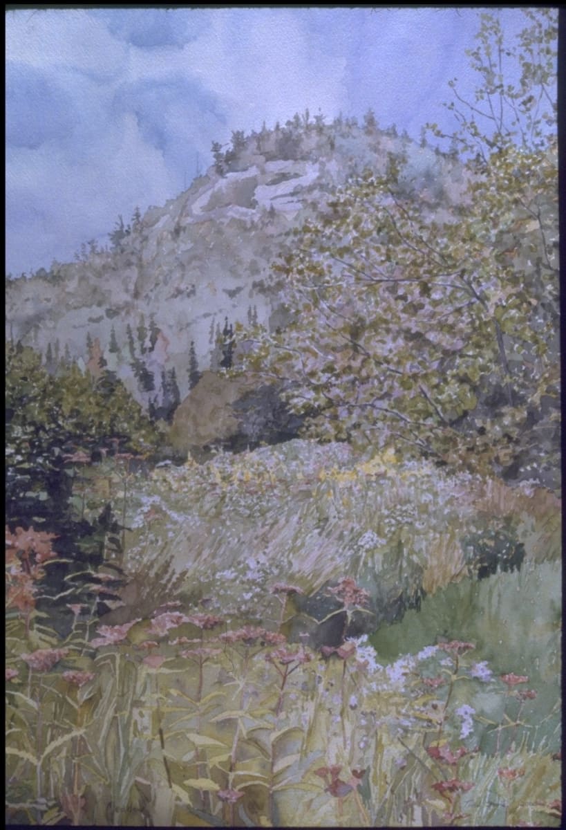 Meadow by Todd Stone 