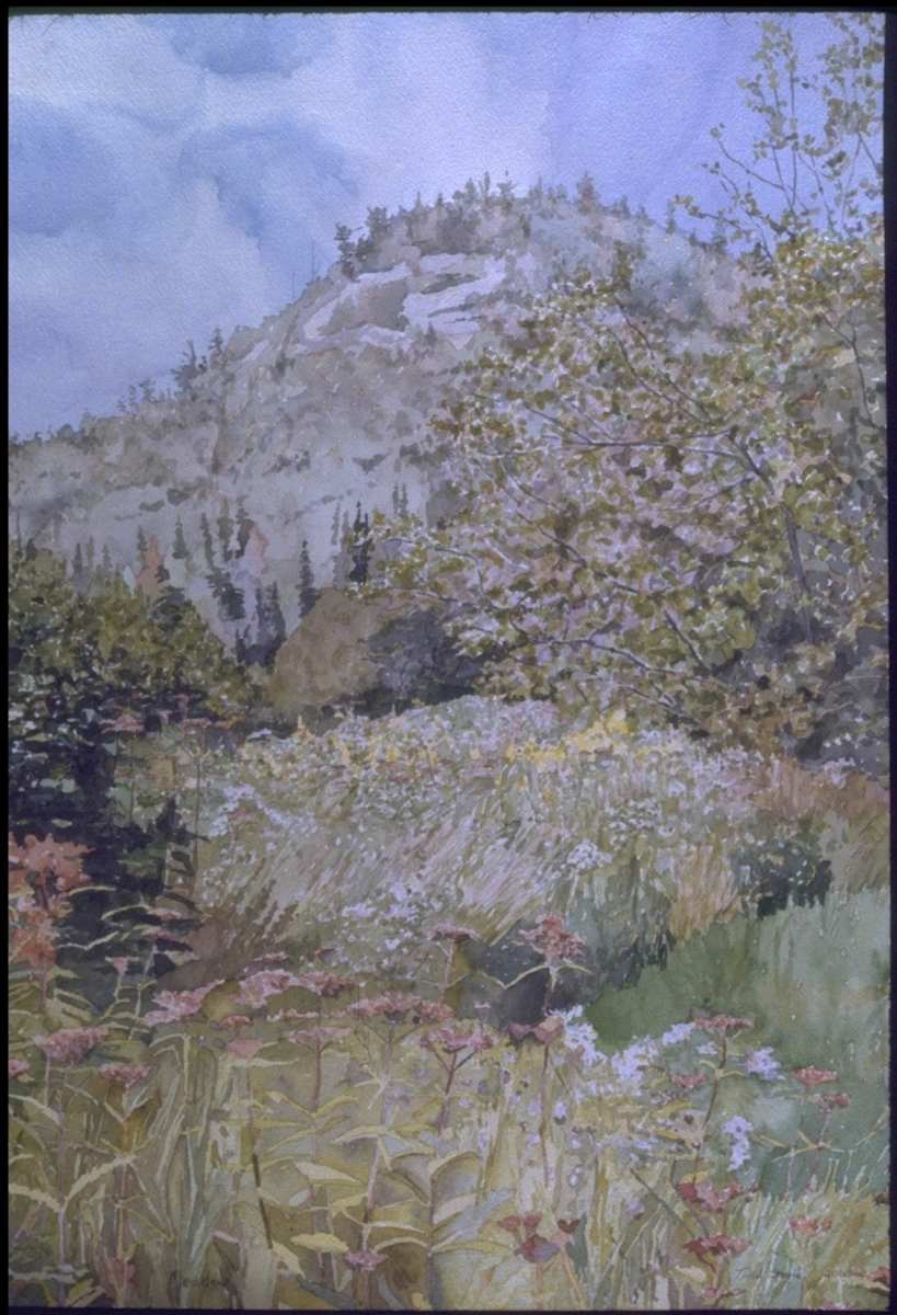 Meadow by Todd Stone, Image 1.