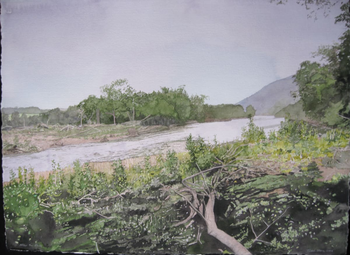 After the Flood by Todd Stone 