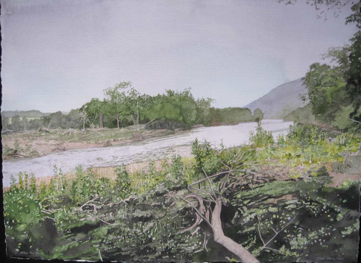 After the Flood by Todd Stone, Image 1.