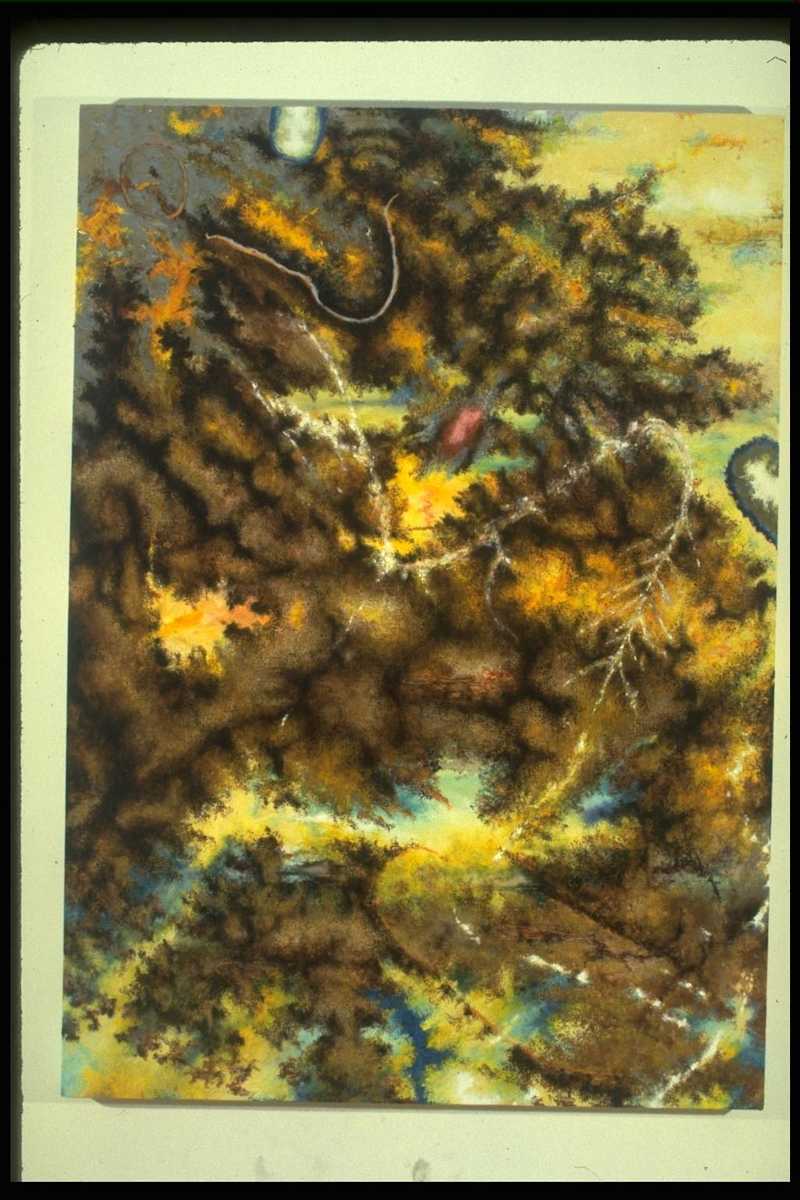 Anna Mia by Todd Stone, Image 1.