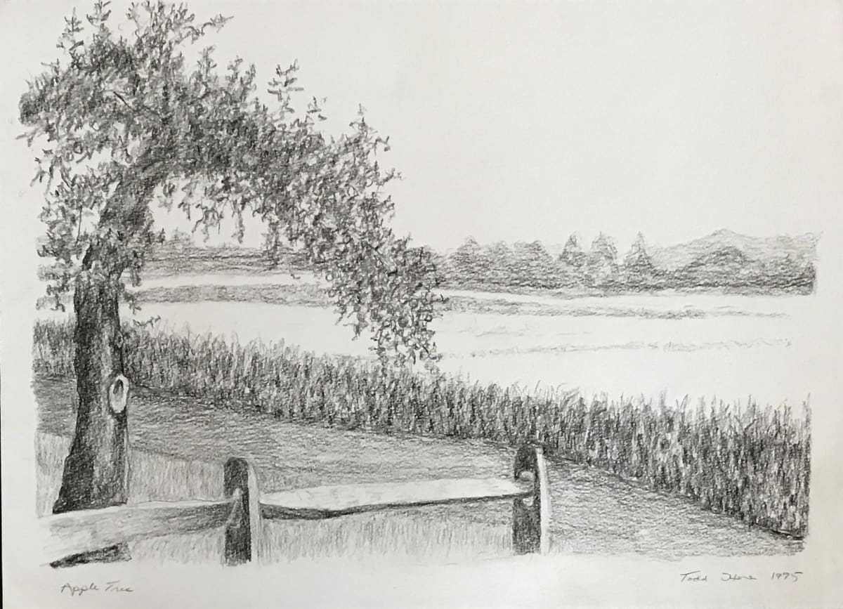 Apple Tree by Todd Stone 