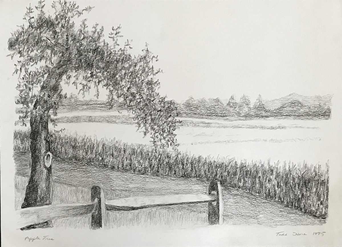 Apple Tree by Todd Stone, Image 1.