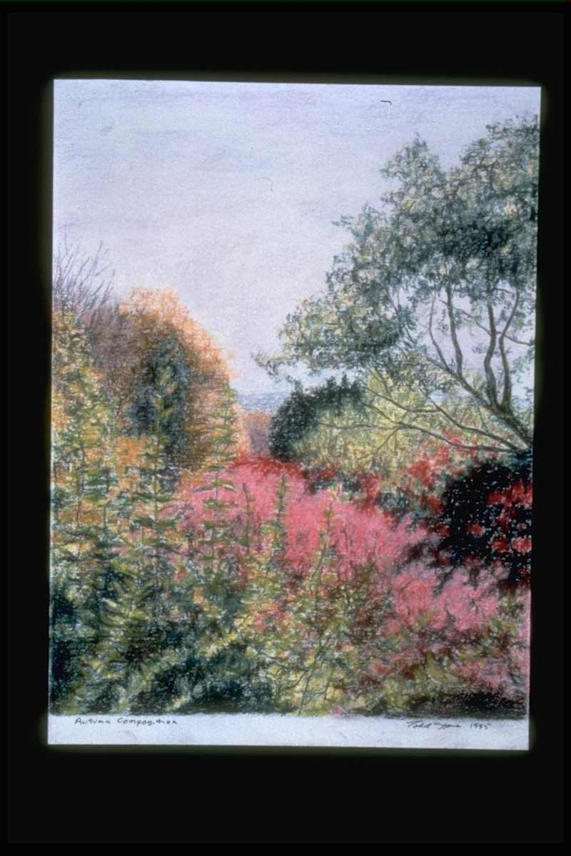 Autumn Composition by Todd Stone, Image 1.