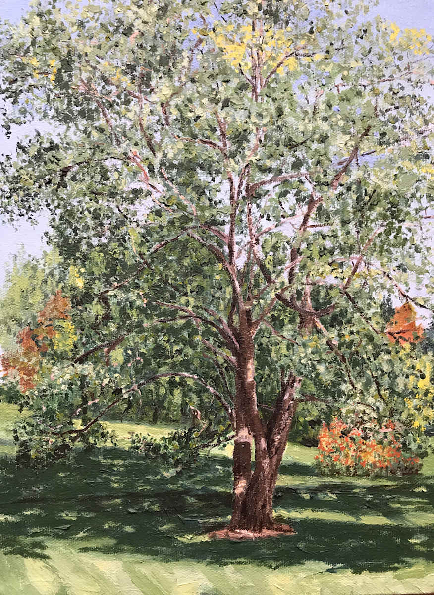 Black Locust by Todd Stone, Image 1.