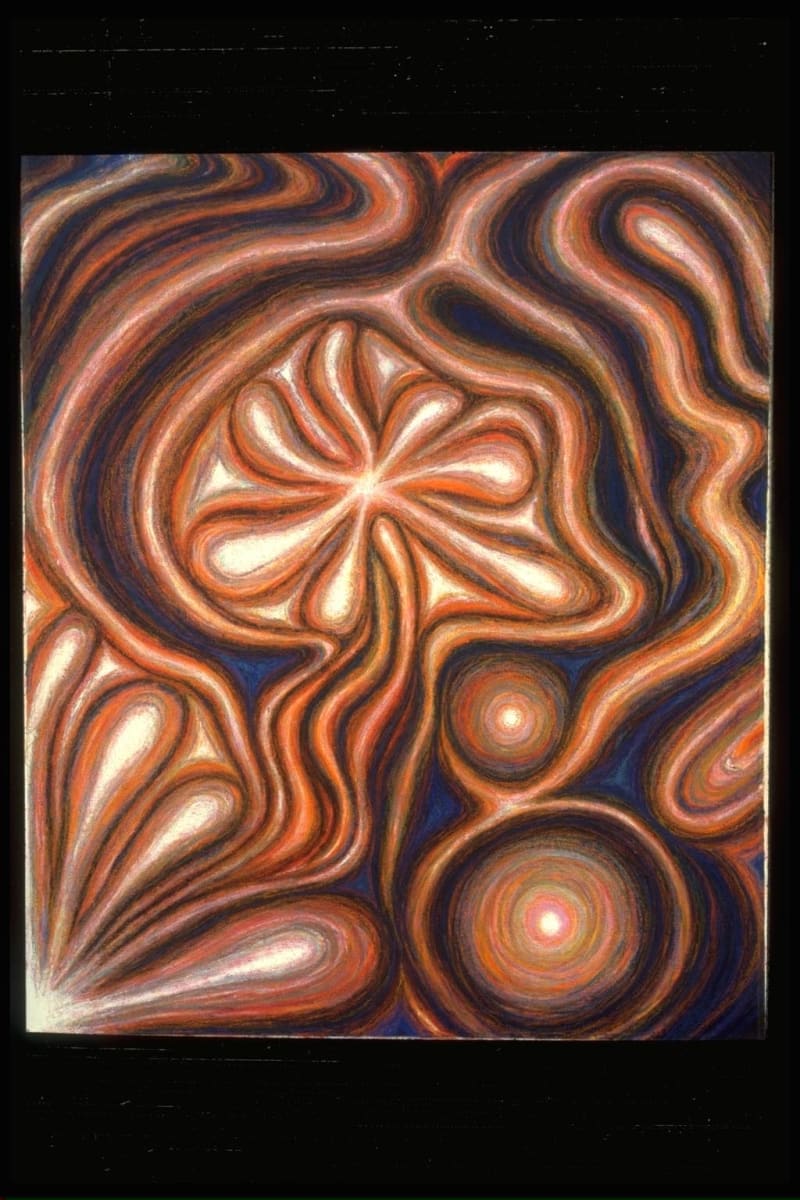Bloom by Todd Stone, Image 1.