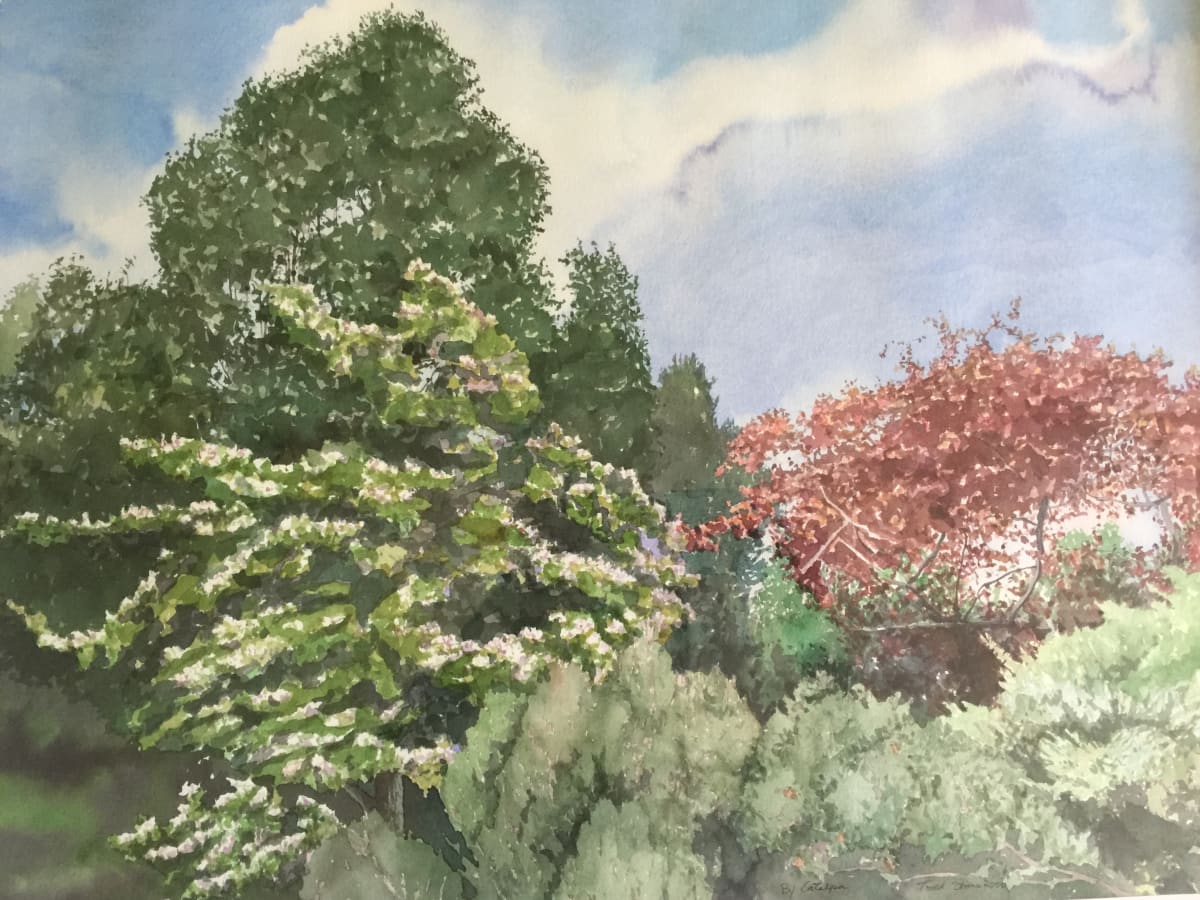 By Catalpa by Todd Stone 