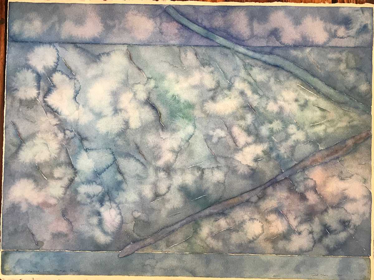 Channel : Dry Tortuga Bank by Todd Stone, Image 1.