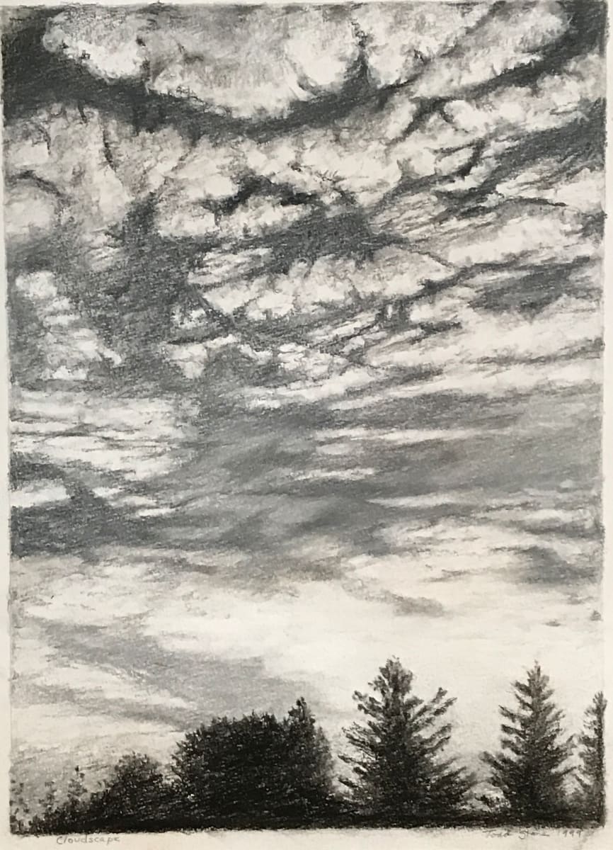 Cloudscape by Todd Stone 