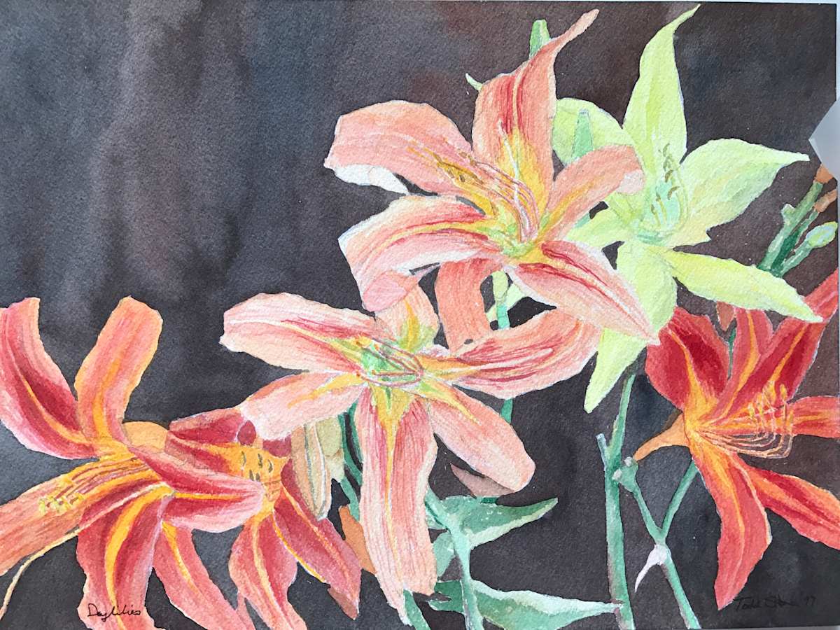 Daylilies by Todd Stone, Image 1.