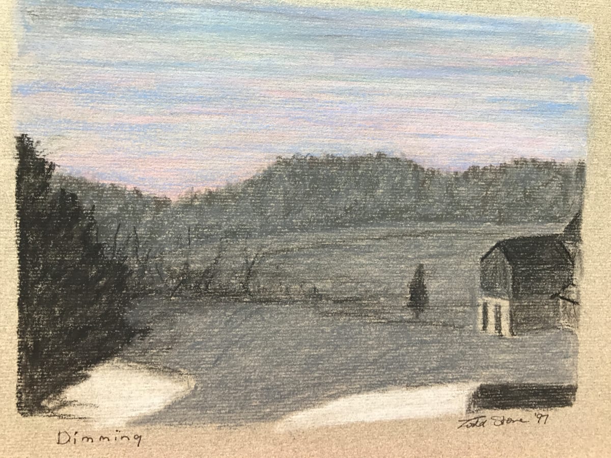 Dimming by Todd Stone 