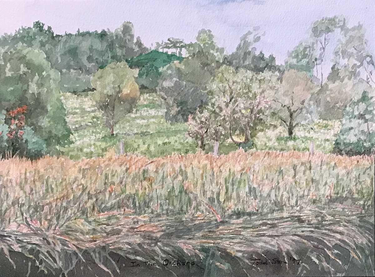 In The Orchard by Todd Stone, Image 1.