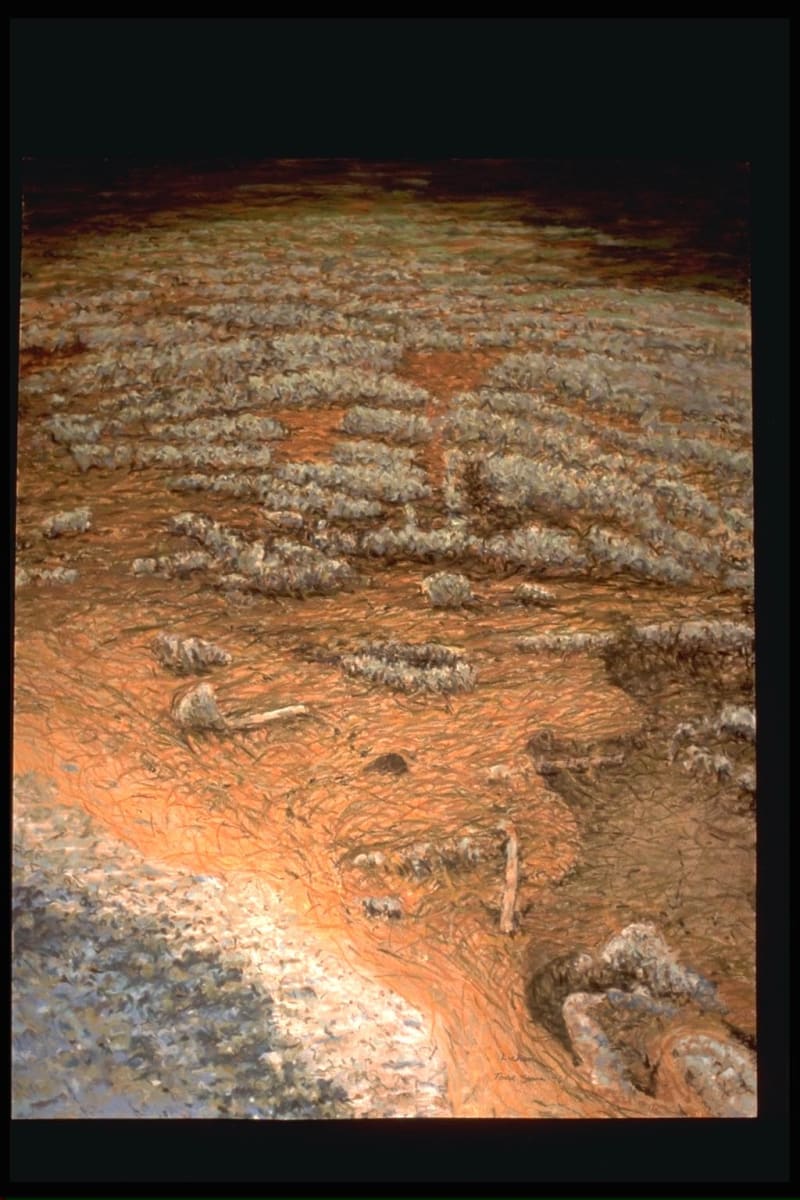 Lichen by Todd Stone 