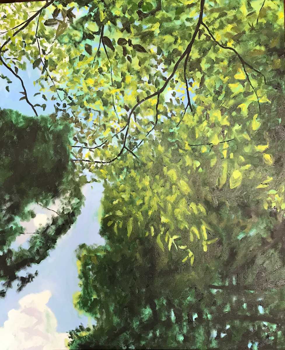 Looking Up by Todd Stone, Image 1.
