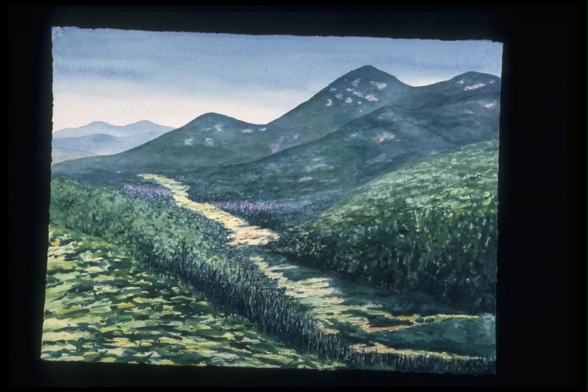 Lower Meadows by Todd Stone 