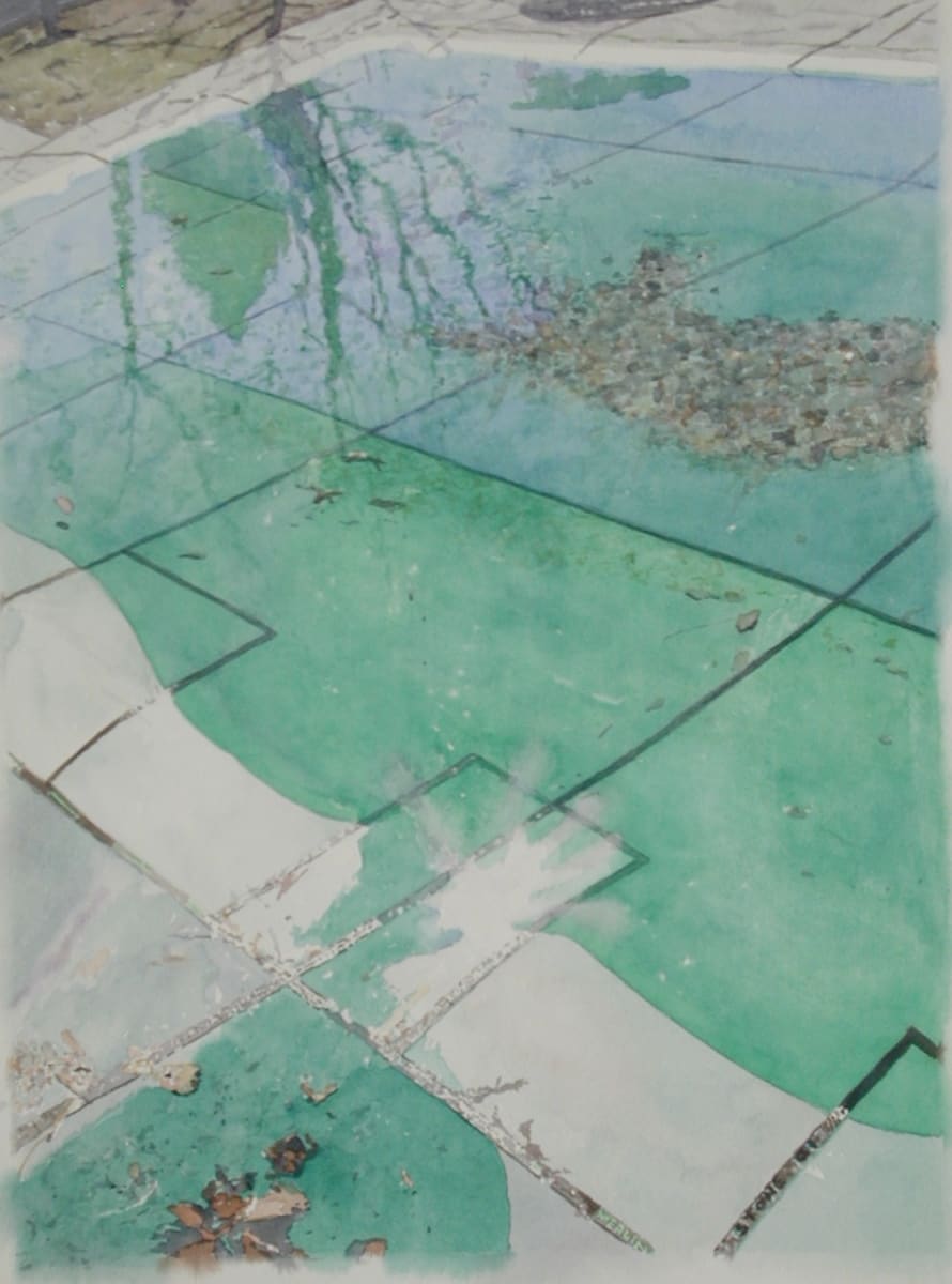 Merlin by Todd Stone 