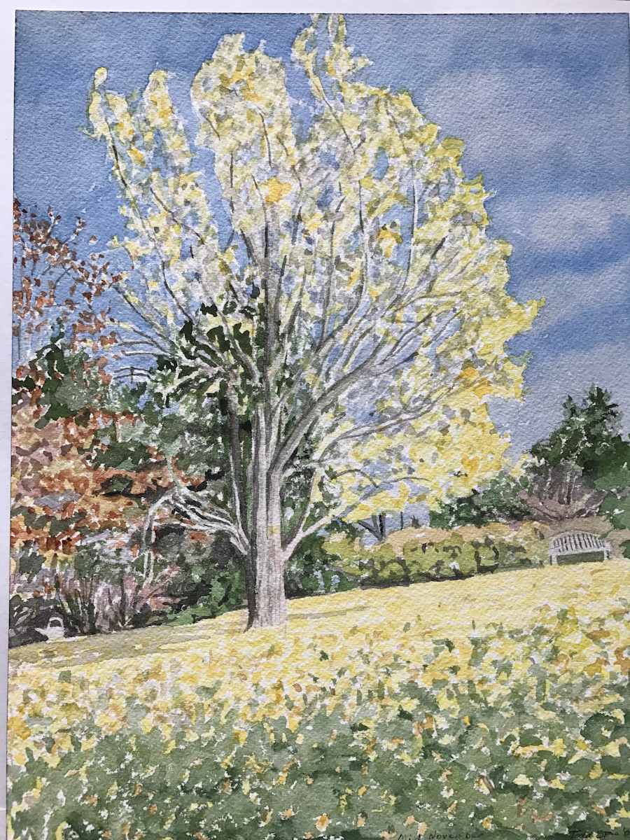 Mid-November by Todd Stone, Image 1.