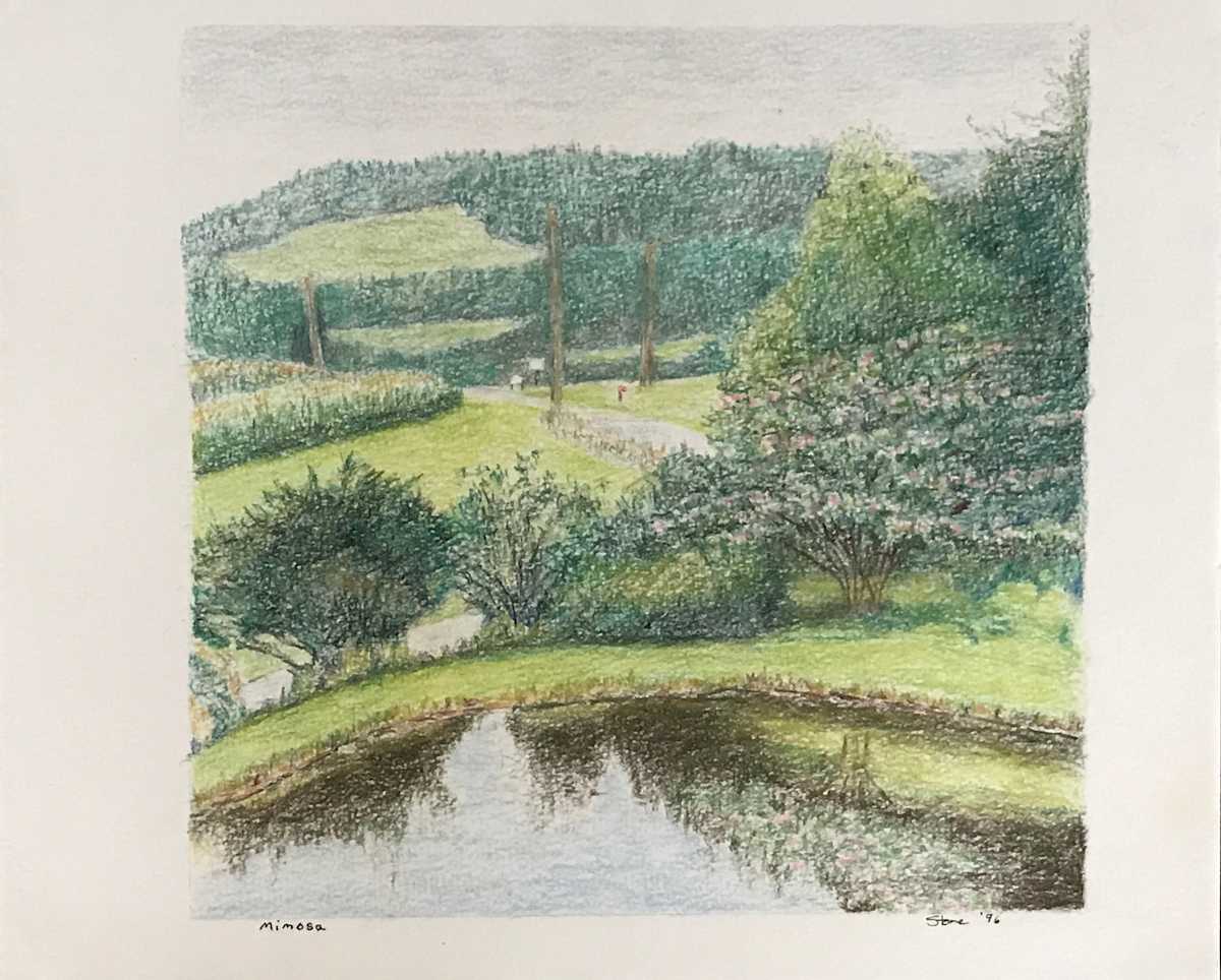 Mimosa by Todd Stone, Image 1.