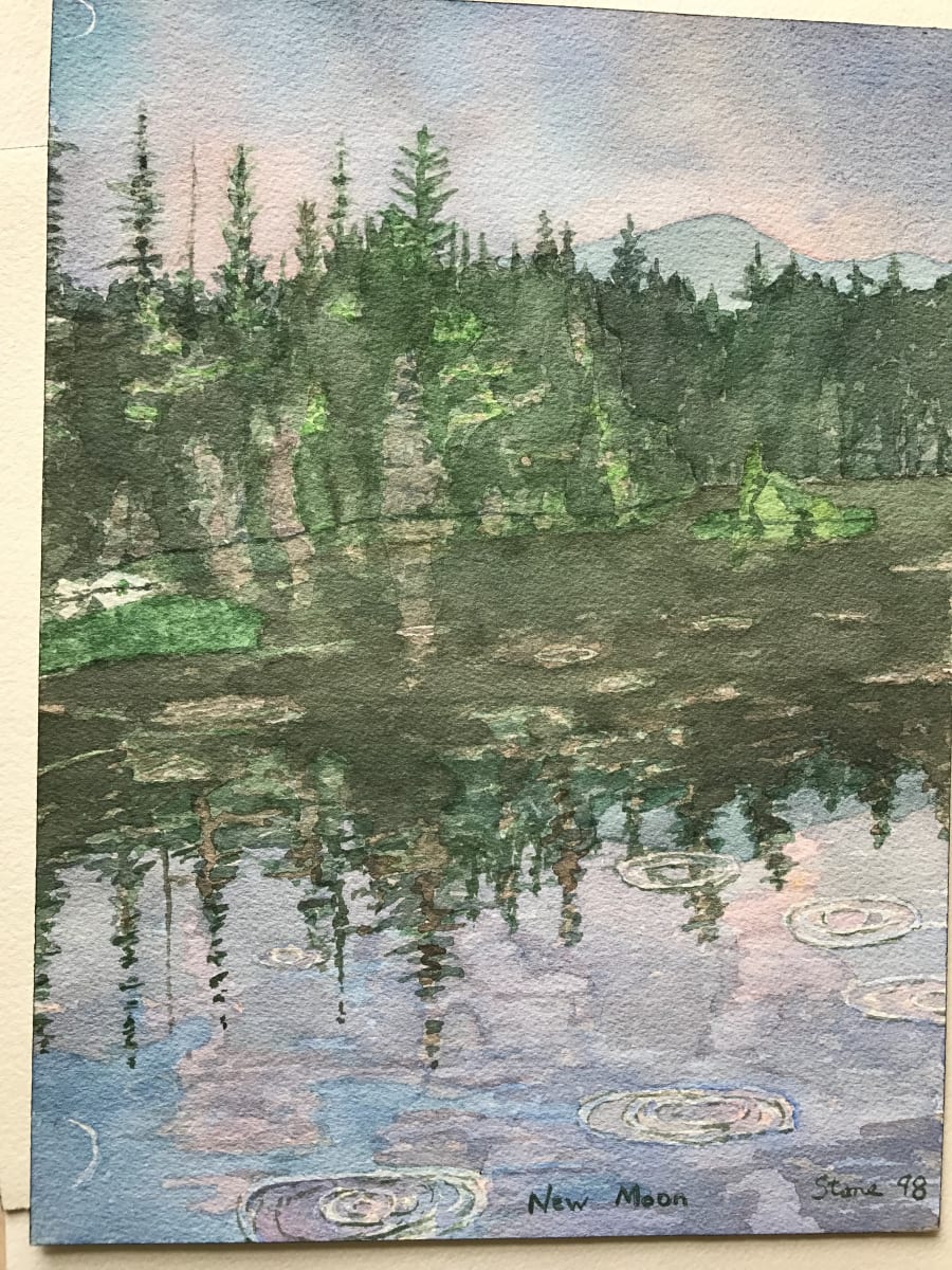 New Moon by Todd Stone 