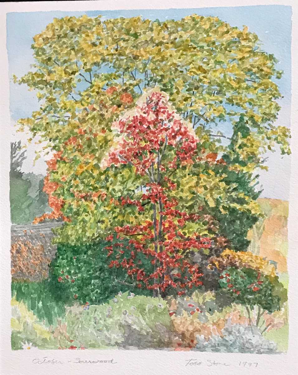 October- Sourwood by Todd Stone, Image 1.