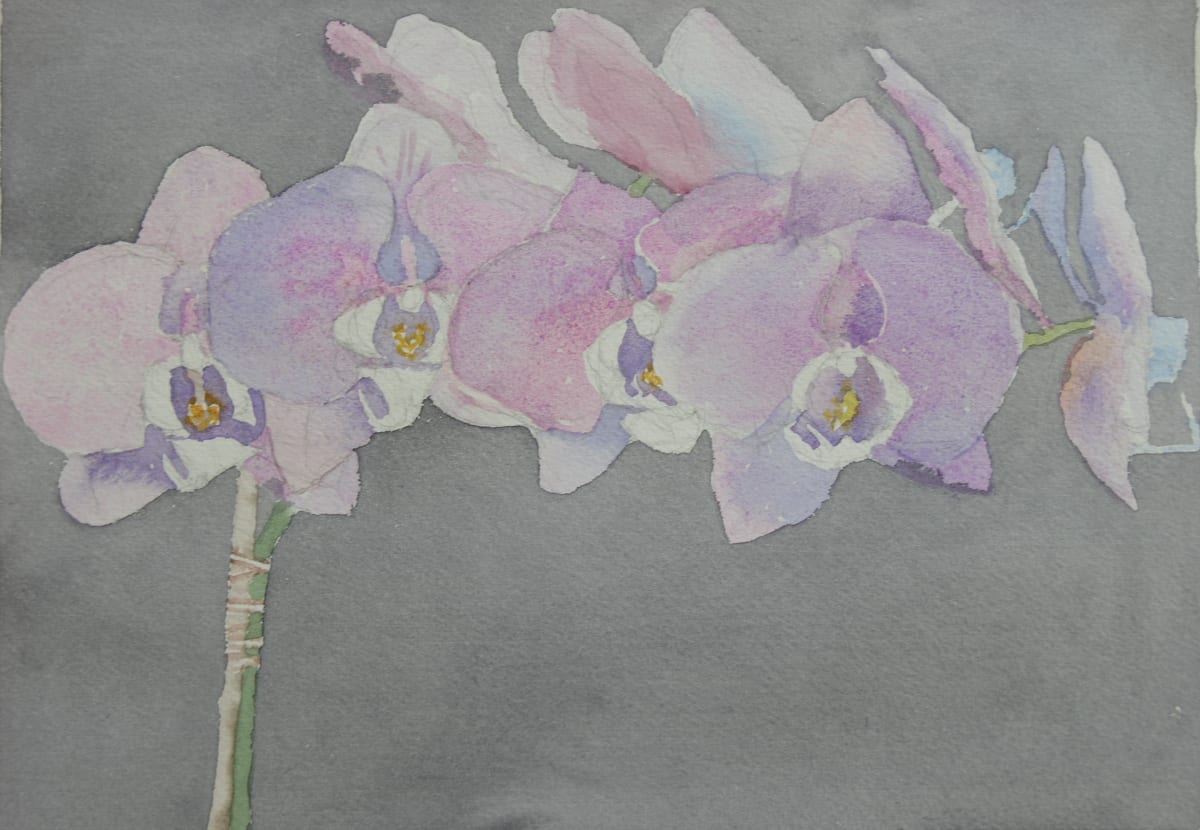 Orchid III by Todd Stone 