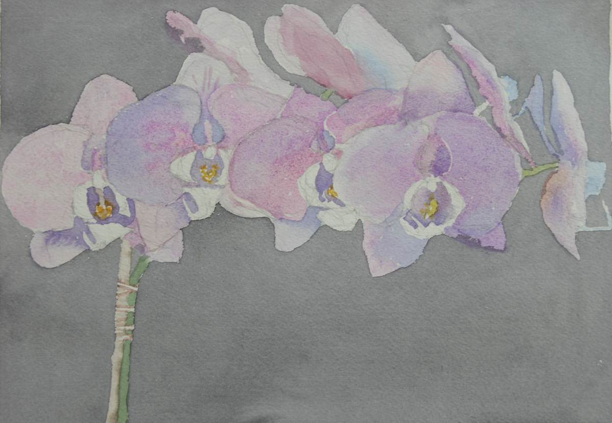Orchid III by Todd Stone, Image 1.