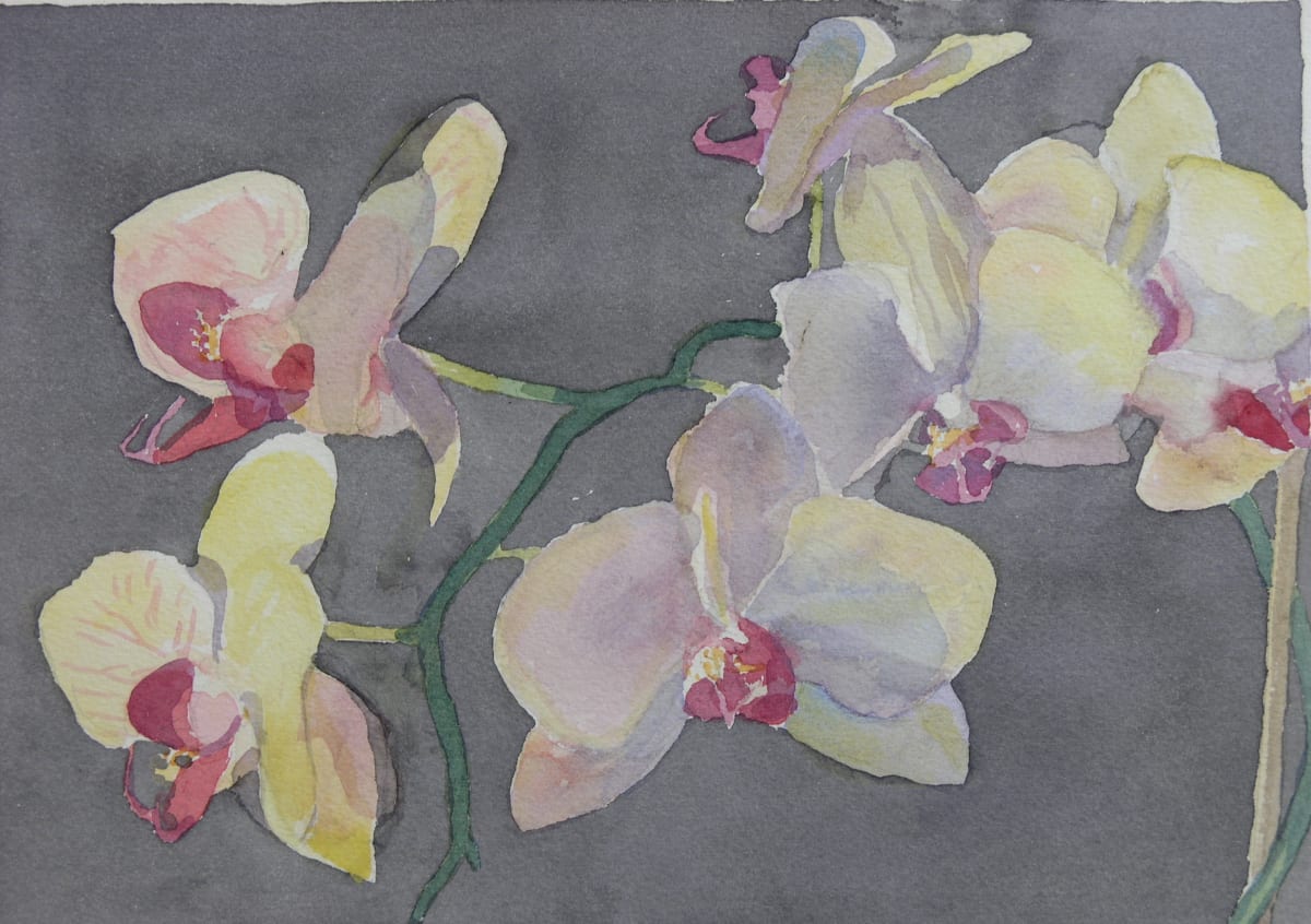 Orchid II by Todd Stone 