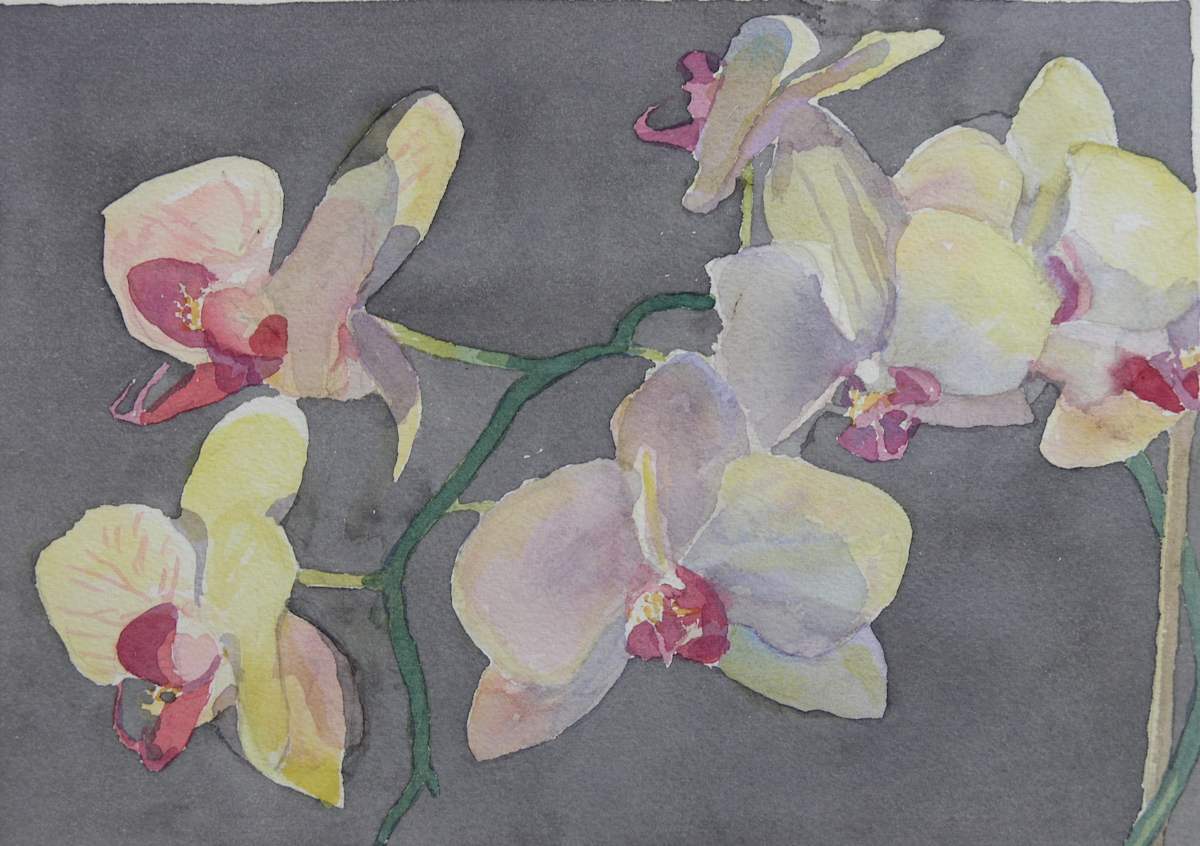 Orchid II by Todd Stone, Image 1.