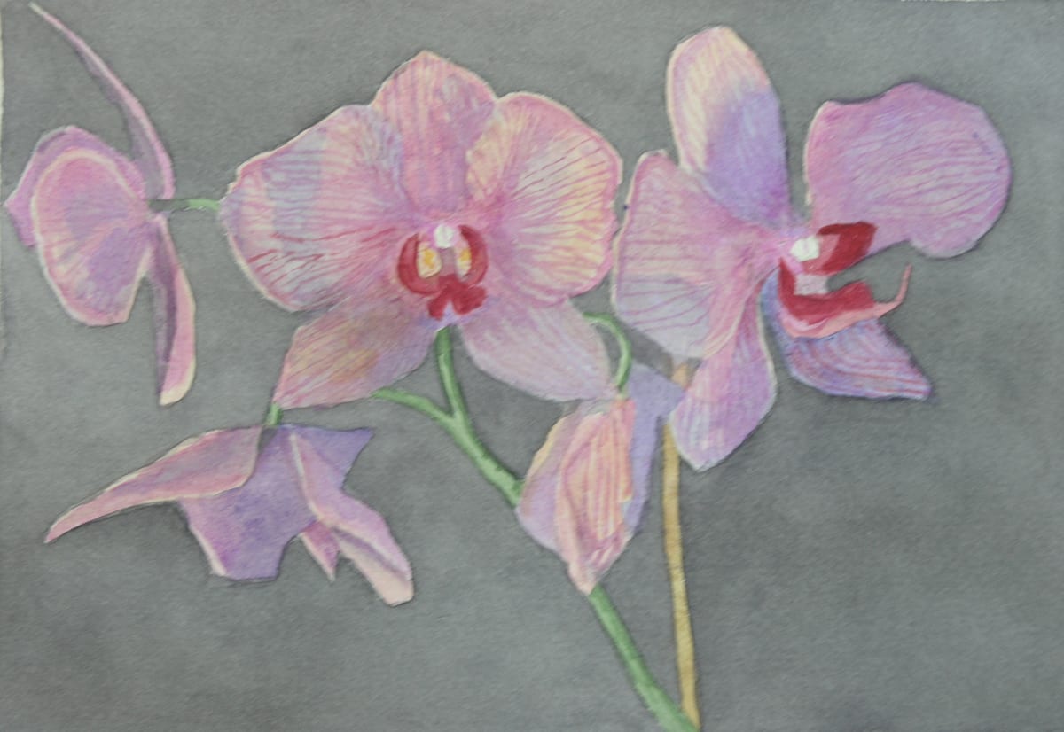 Orchid IV by Todd Stone 