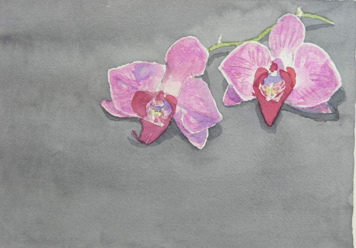 Orchid I by Todd Stone, Image 1.