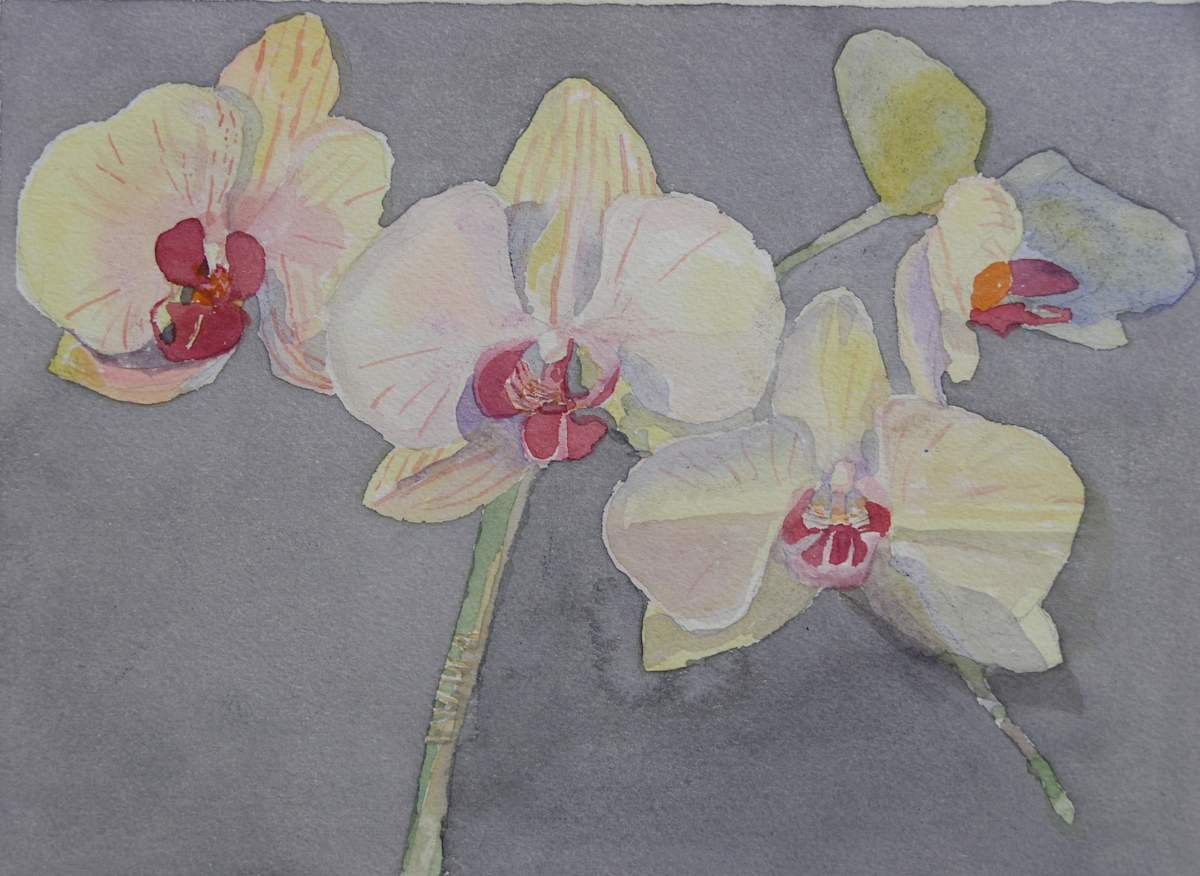 Orchid VI by Todd Stone, Image 1.