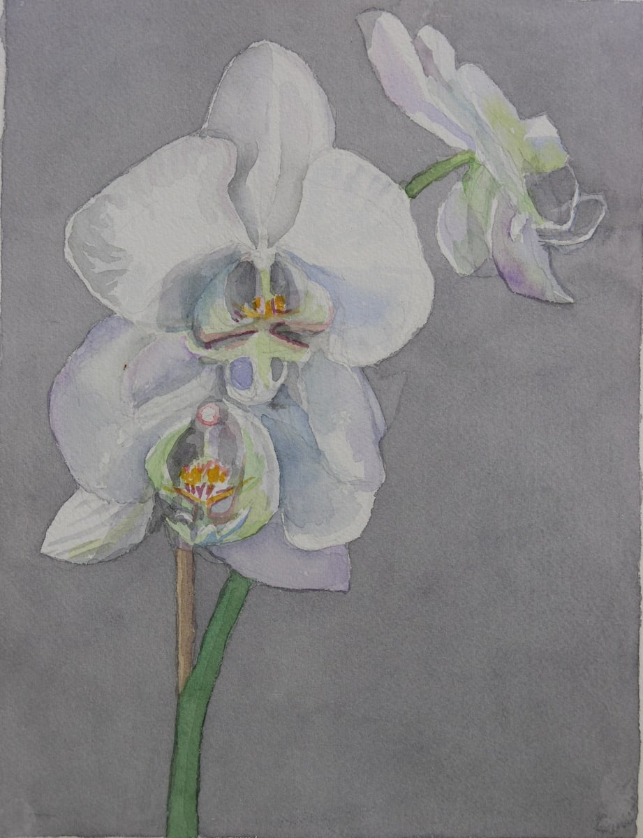 Orchid V by Todd Stone 