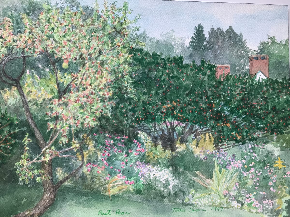 Past Pear by Todd Stone 