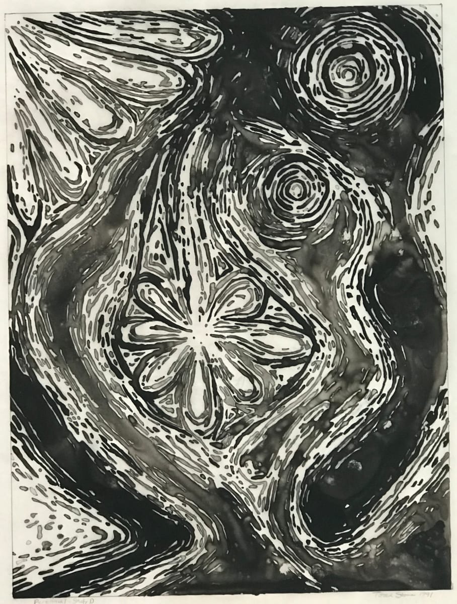 Perennial : Study D by Todd Stone 