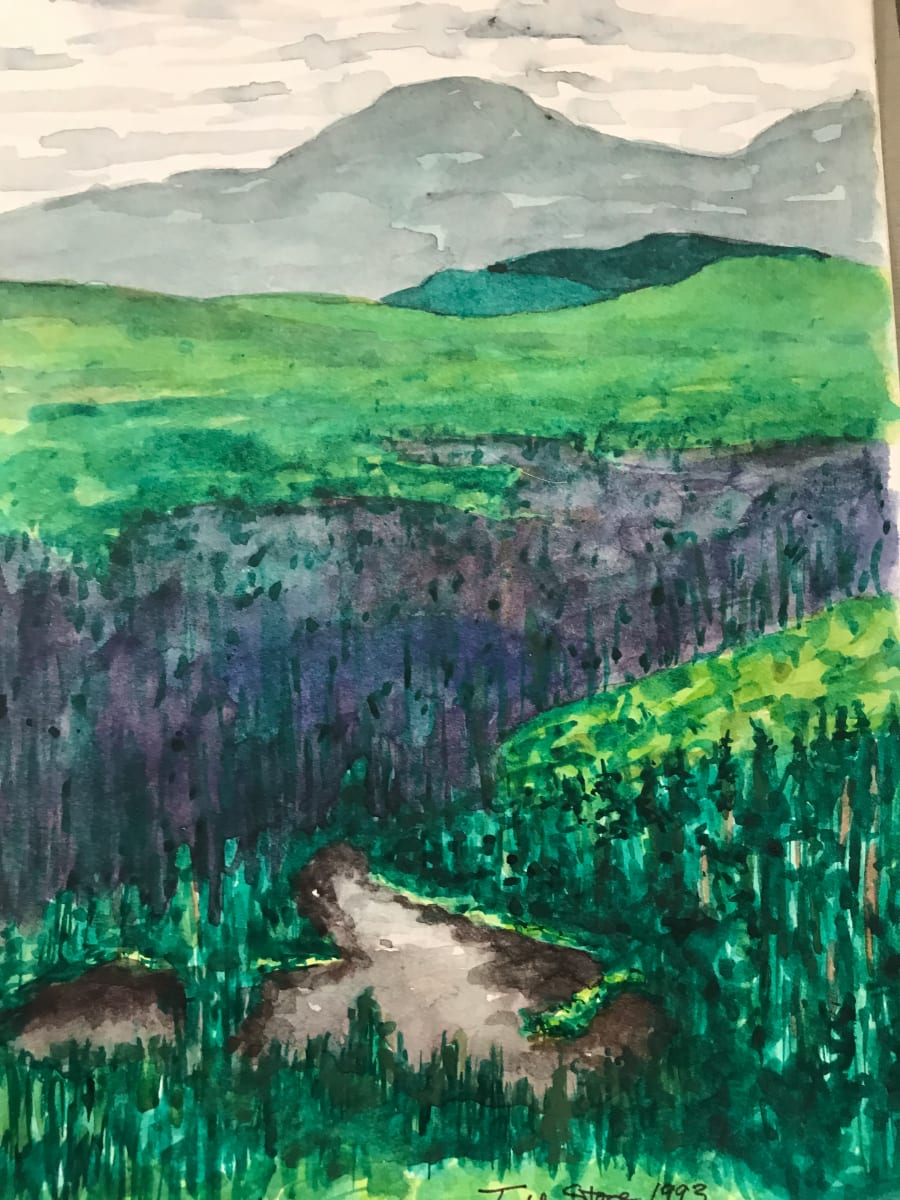 Pond From Backdoor Mt. by Todd Stone 