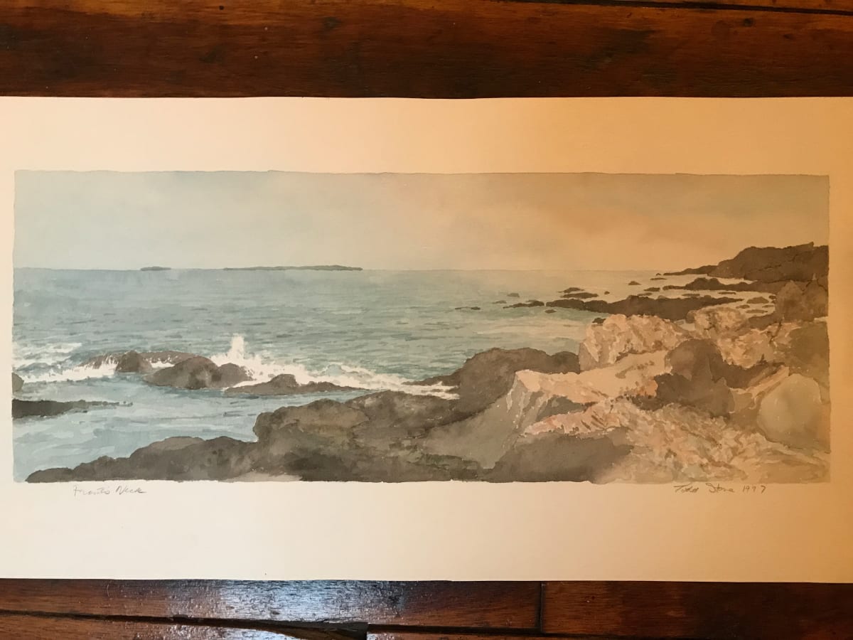 Prout's Neck by Todd Stone 