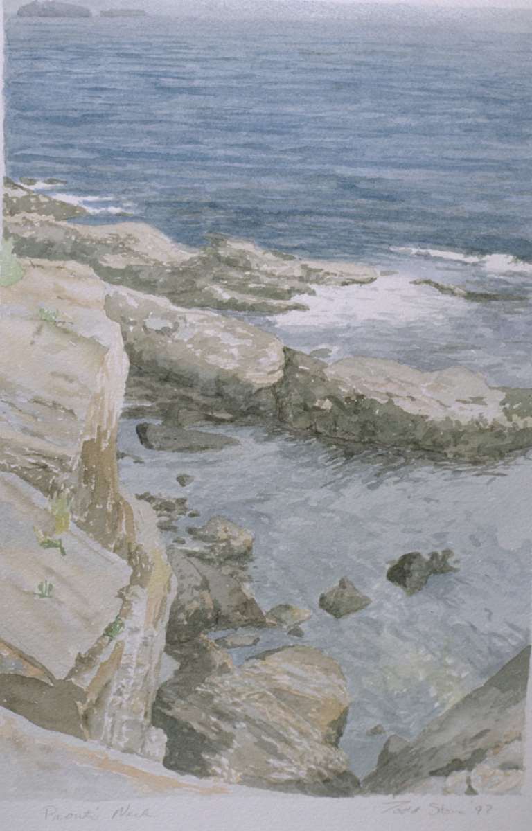 Prout's Neck by Todd Stone, Image 1.