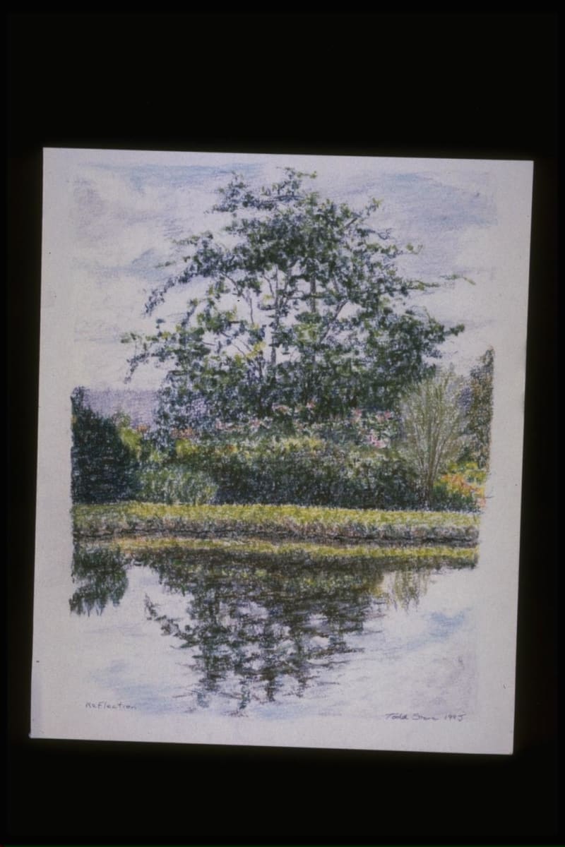 Reflection by Todd Stone 